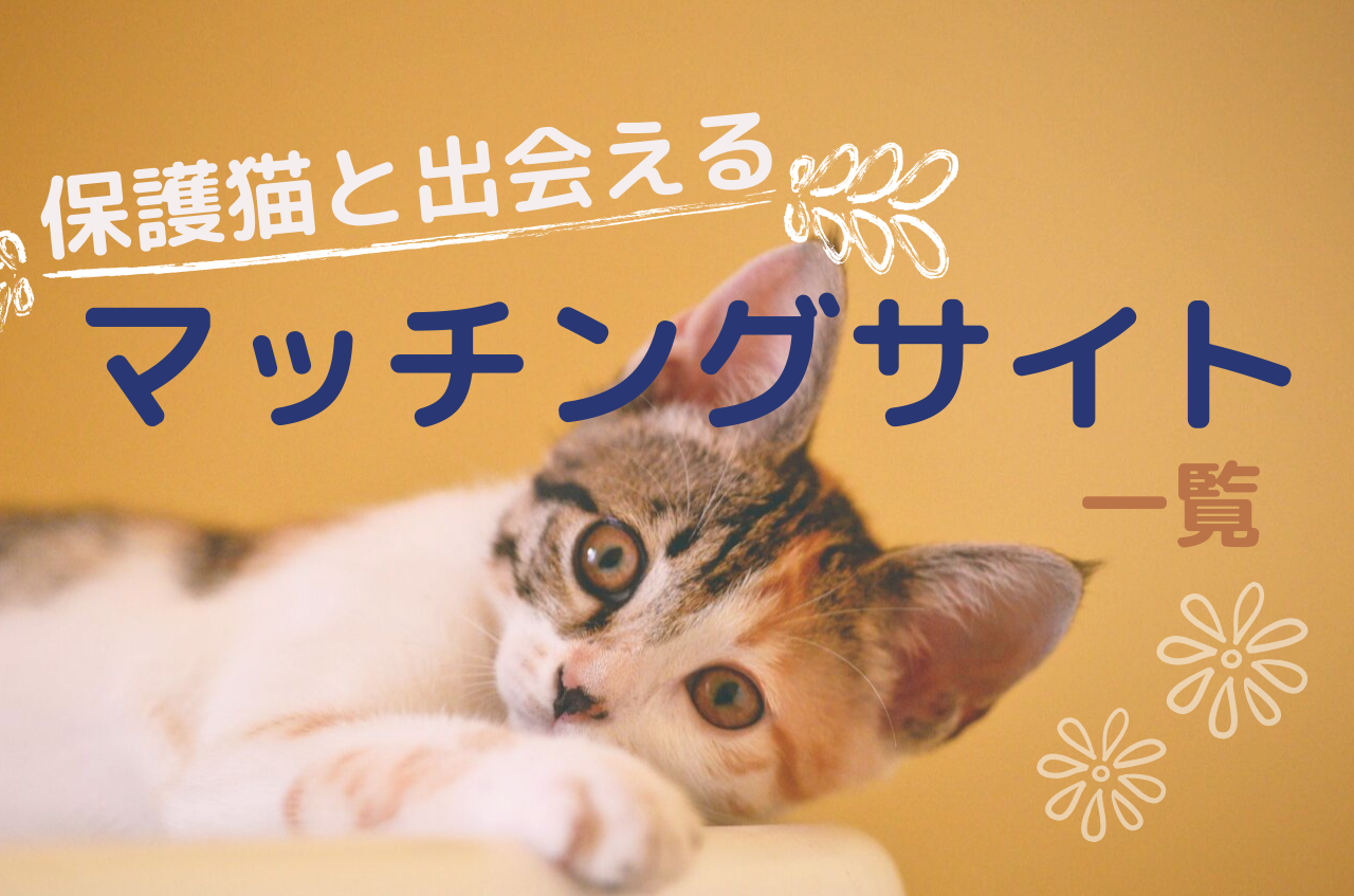 保護猫の里親募集 掲載サイト一覧 ２０１９年 Wan For All All For Wan